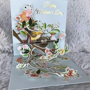B3 3D Pop Up Treasures Mothers Day Nest Eggs Birds of Spring 1337